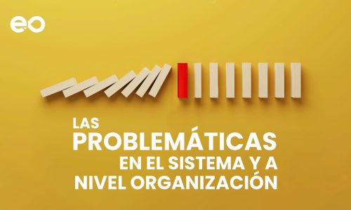 Problemáticas en una organización a nivel sistema e individual